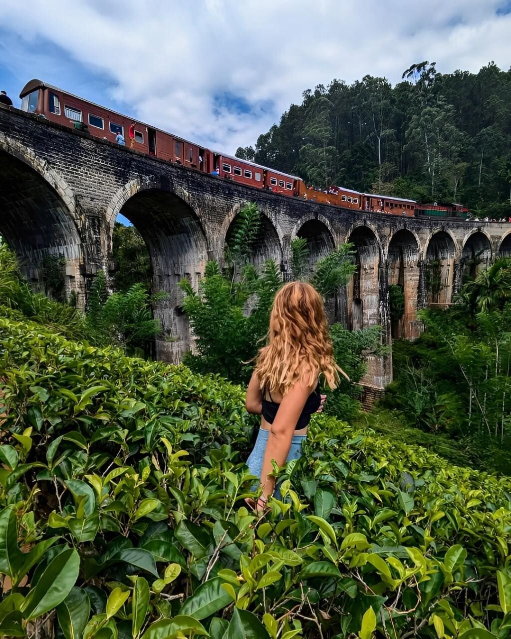 Lush Green Tea Plantations in Ella
