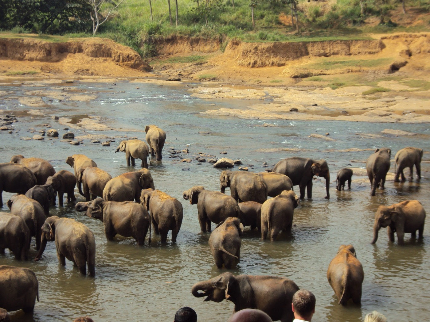 Village Life, Ancient Caves & Sri Lankan Flavours