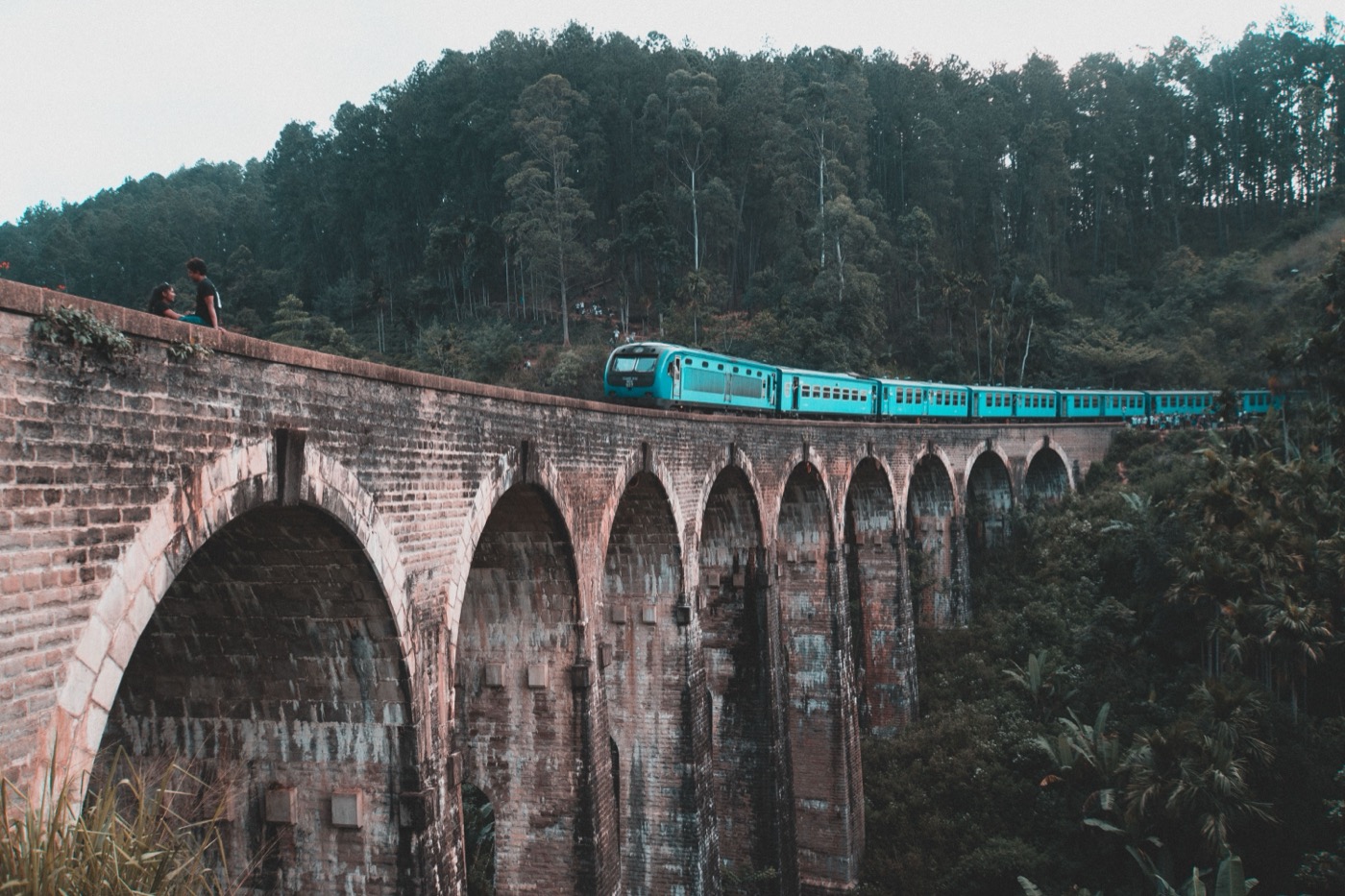 The Famous Hill-Country Train to Ella