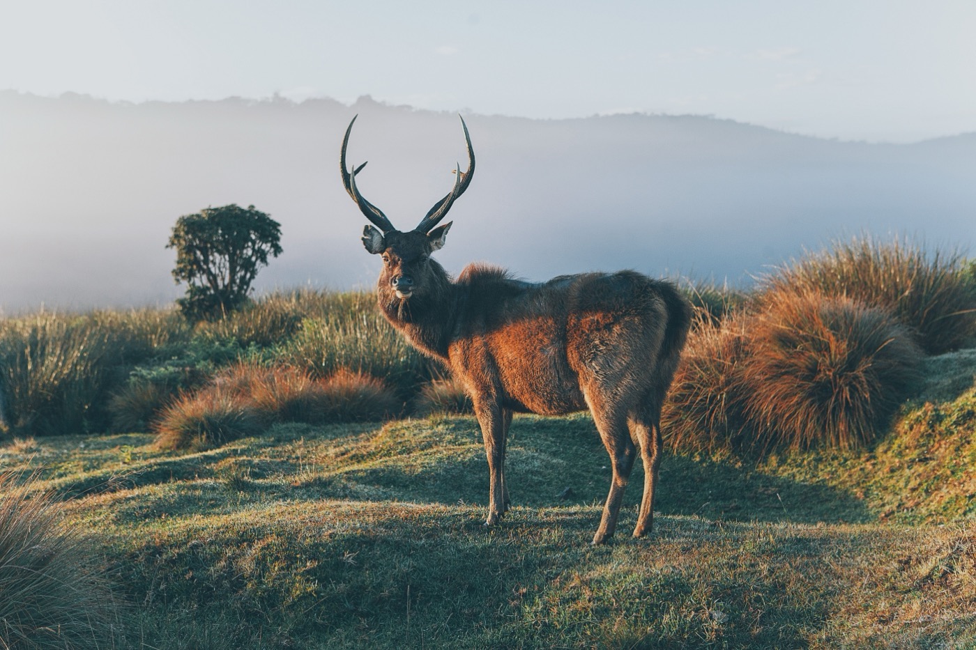 Horton Plains Adventure