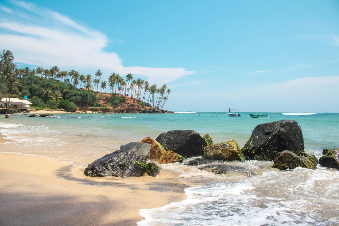 From Wildlife to Tropical Coast