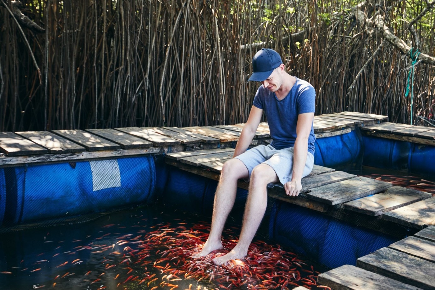 Mangroves & Beach Life