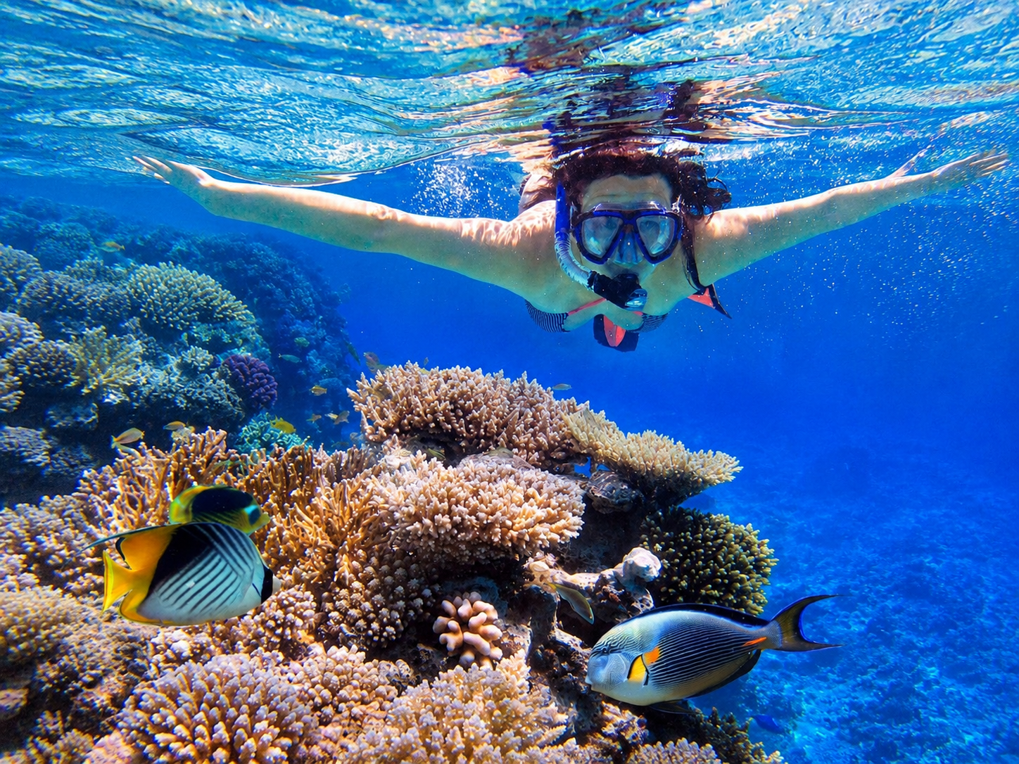 Discover the Underwater World